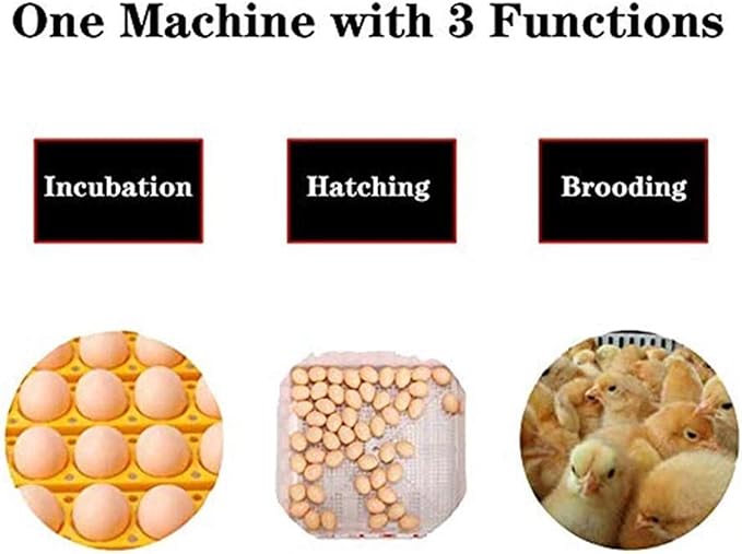 Egg Incubator, 24 Egg Incubator Automatic Turning Hatcher with Temperature Control Digital Poultry Brooder for Hatching Chickens Ducks Birds