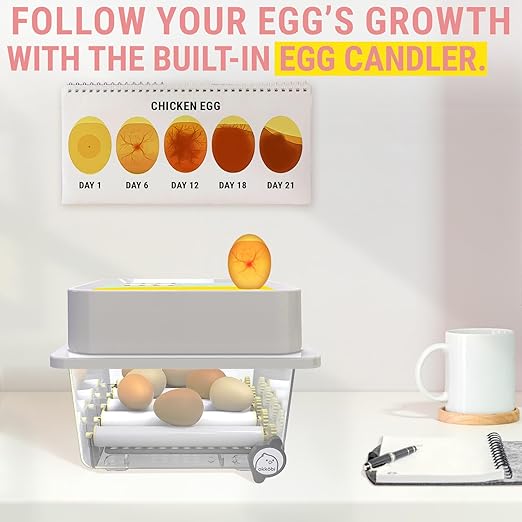 OBI-36 Egg Incubator for Hatching - 36 Eggs - Stable Temperature & Humidity Control with Eggloo Insulation, Candler - Ideal for Families and Farms - Suitable for Chicken, Duck, Quail Eggs