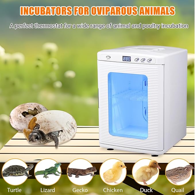 25L Reptile Incubators for Hatching Eggs, Digital Science Lab Incubator,Cooling and Heating 10-60°C, 12VAC/110VDC Dual-Power Small Portable Incubator for Laboratory, Home, Vehicle, White