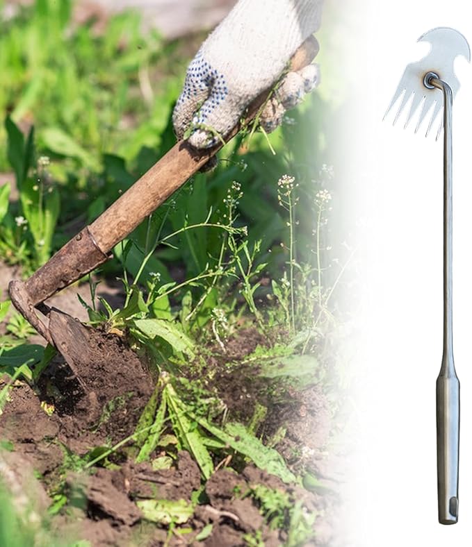 Weeds Puller Weeding Rake, with Handle, Uprooting Garden Weeding Tool Stainless Steel for Lawn Farm Outdoor Backyard, 6 Teeth, 48.5cmx10.5cmx6.5cm