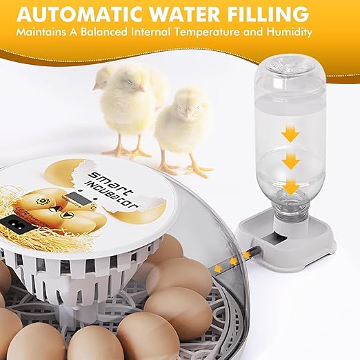 Egg incubators for Hatching Eggs, Automatic Egg Turning 12-24 Poultry Incubator with Temperature Control,Automatic Water Adding,℉ Display,360° View for Hatching Chickens, Duck,Quail,Goose Eggs (M12)