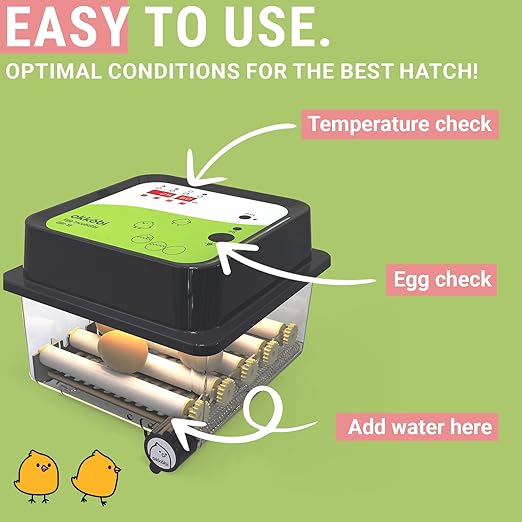 OBI-12 Incubator for Hatching Eggs – 12 Eggs, Easy to Use, Stable Temperature & Humidity Control with Eggloo Insulation - Green