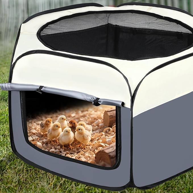Chick Brooder Box for Chick Starter Kit - 2026 Upgrade Double Door Chicks Brooder Pen/Playpen/Baby Chickens Supplies Chick Tent Up to 15 Baby Chicks,Quail,Duck