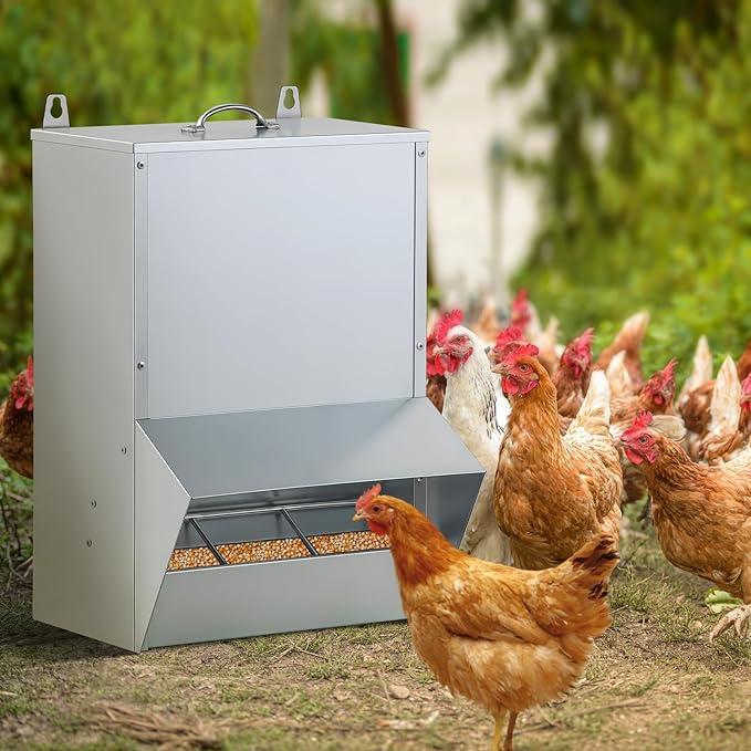 Galvanized Chicken Feeder Outdoor Poultry Feeder w/Lid Weatherproof,Easy refilling and Cleaning.NO Mess! NO Waste! (30LB Capacity)