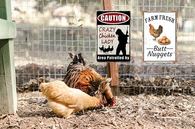2pcs Funny Chicken Sign Vintage Metal Tin Signs Chicken Coop Accessories Lovers Gifts For Farm Yard Fence Decor Coop Caution Sign Outdoor Wall Decor 8×12 Inch