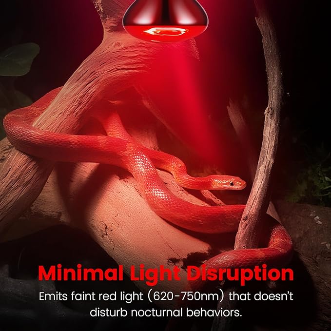 2-Pack 100W Infrared Heat Lamp - Reptile Heat Emitter, Red Heat Bulb for Chicked, Snake & Leopard Gecko, E26 Base