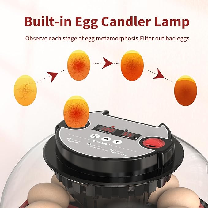 NWH 12 Egg Incubator with Temperature and Humidity Control, Adjustable Turning Time, Automatic Dual Water Bottle Refill, Candling Light, Air Vent, Incubators for Hatching Eggs, Chicken, Ducks, Goose