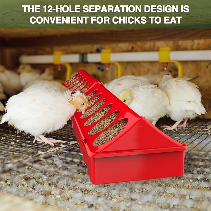 All-in-One Chick Brooder Kit with 75W Adjustable Heat Lamp, Spill-Proof Feeder & Waterer, and Rust-Proof Perch Stand for 5–15 Chicks