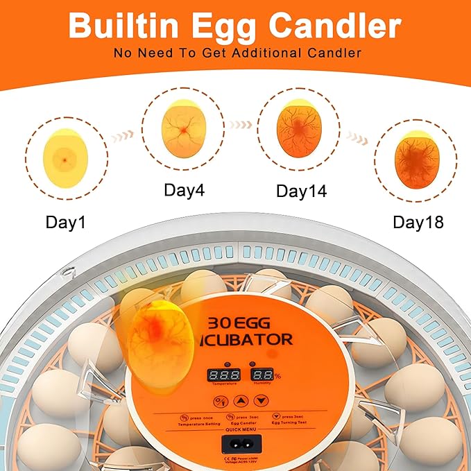 30 Egg Incubator with Automatic Egg Turning and Humidity Control,360 Degree View with Clear Window, Incubators for Hatching Eggs, Chicken, Ducks, Goose, Pigeon, Quail, Parrot