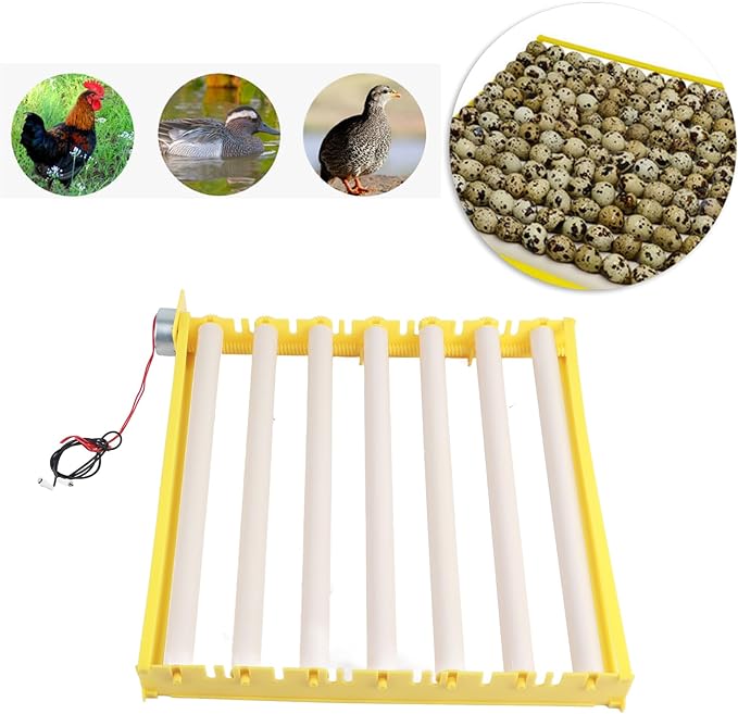 GLOGLOW Egg Incubation Tray, Automatic Egg Turner with 7 Rollers for Chicken Duck Bird Quail Hatching Home Farm Use 16.9x16.7x2.1 Inch