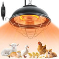 350W Heat Lamp for Chickens - Carbon Fiber Chicken Coop Heater, Hanging Chicks Brooder Heaters 2 Heating Levels, 5.6 Ft Cord Waterproof Chicken Heat Lamp for Poultry Pets & Outdoor Used
