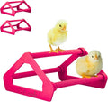 Roosting Perch for Baby Chickens, Chick Brooder Coop Training Toy Accessory, Easy Click Together Assembly, Durable Plastic, Mix and Match Colors, USA Made (Magenta, 3 Pack)