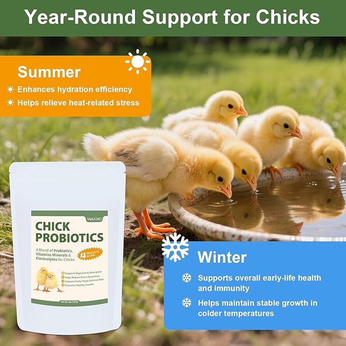 Chick Probiotics Powder, 4-in-1 Poultry Nutrition with Probiotics Vitamins Minerals & Electrolytes, Supports Digestion Hydration & Healthy Growth for Chicks, Poultry Nutrient Boost Supplements Feed