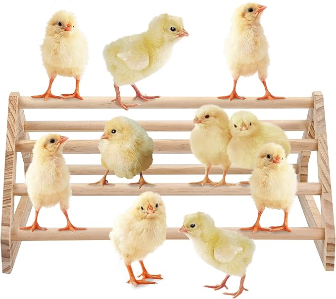Wooden Chick Perch Stand, Pine Roosting Bar, Jungle Gym Perch Toys for Chicken Coop & Brooder, Bird Perch for Baby Chicks & Parrots (Large)