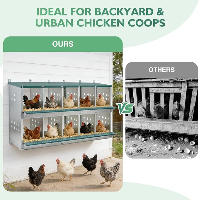 EAGLE PEAK 10-Hole Wall Mounted Chicken Nesting Box, Roll Away Hen Laying Box with Sloped Roof & Easy Clean Tray, Galvanized Steel for Backyard Chicken Coops (Green)