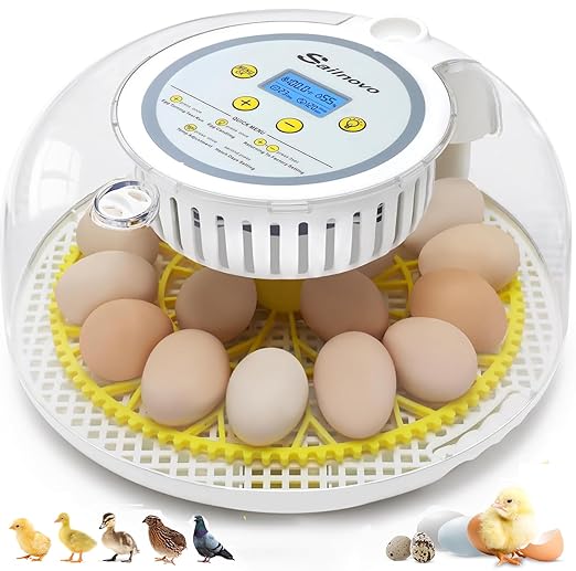 Sailnovo 18 Egg Incubator for Hatching Eggs with Automatic Egg Turning and Humidty Display, Temperature Control,360° Clear View, Egg Incubator for Hatching Chickens,Ideal for Farm,School and Lab