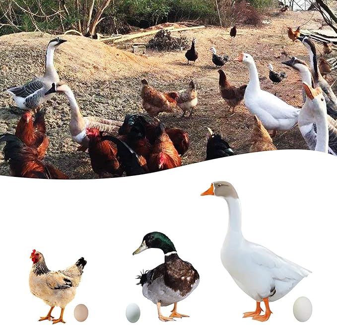 Egg Collection Apron with 18 Pockets for Gathering Chicken, Duck, Goose Eggs - Great Gifts for Mums, Friends - Blue, 21inch