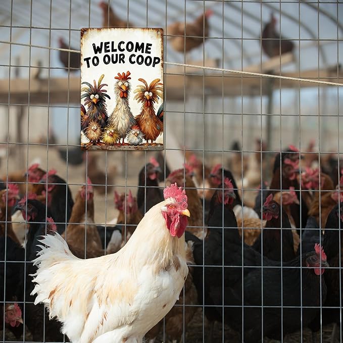 Funny Chicken Metal Decor Sign Vintage Metal Tin Sign Wall Art Decor Welcome To Our Coop Chicken Coop Signs for Outdoor Decorations Gifts for Women and Hen Lovers 8 X 12 Inch