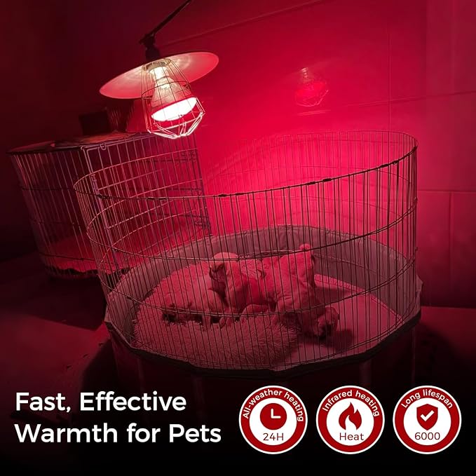 Infrared Heat Lamp for Chickens, 150 Watts Red Heat Lamp Bulb, Heat Light Bulb for Brooder Coop, Food Service, Chicks, Pet, Reptile, 1 Pack