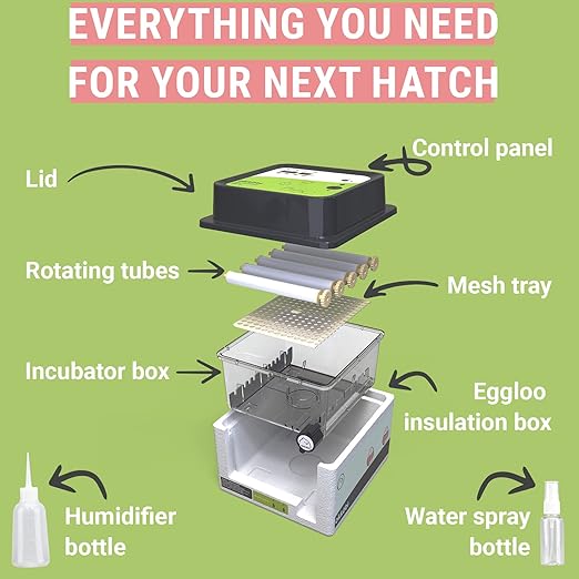OBI-12 Incubator for Hatching Eggs – 12 Eggs, Easy to Use, Stable Temperature & Humidity Control with Eggloo Insulation - Green