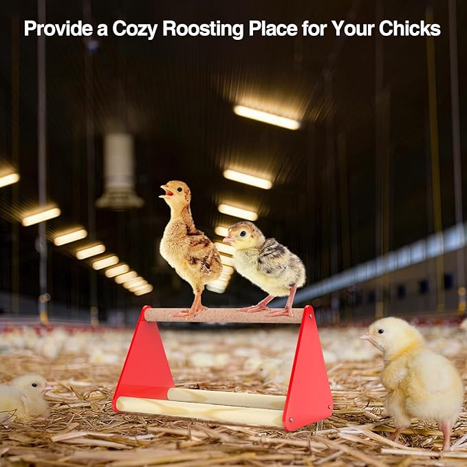 Chick Feeder and Waterer Kit - Baby Chicken Supplies with Chicks Perch, Plastic Feeder Trough and 1.2L Waterer, Chicken Starter Kit for Coop and Brooder for Small Poultry Ducks Quail