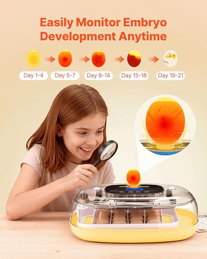 VEVOR 24 Egg Incubator, Automatic Egg Turner with LED Candler, Temperature & Humidity Control, 360° View Clear Window, Auto Water Refill, Poultry Eggs Incubators for Hatching Chicks Ducks Goose Quail