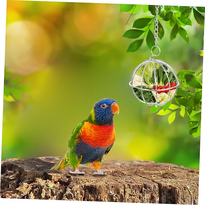Hanging Stainless Steel Chicken Feeder Holder 2Pcs Ball Shape Poultry Vegetable Treats Feeders for Chickens and Chicks