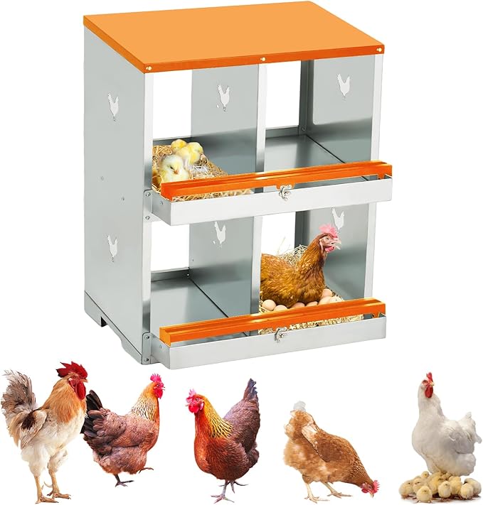 Chicken Nesting Box, 4 Hole Chicken Coop Boxes with Lid, Nesting Boxes for Chickens with Swing Perch and Roll Away Egg Collection for Chicken Coop, Chicken Nest, Double Layer 4 Compartments