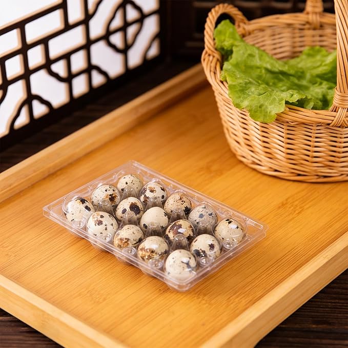 Kisangel 30pcs 15 Grids Clear Quail Egg Carton - Plastic Quail Egg Storage Holder with Lid - Reusable Dispenser Holder for Small Pigeon Pheasant Egges