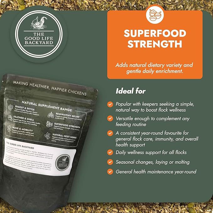 Good Life Backyard Superfood Strength for Chickens – General Wellbeing Nutrient Rich Poultry Supplement (1 lb Pouch) | Hatching Time