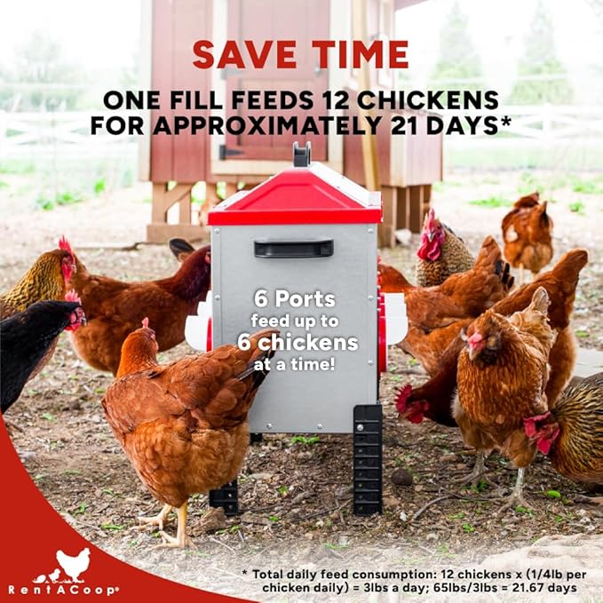 RentACoop Flock Feeder 65 lb - Large Capacity, Weatherproof Metal 6-Port Feeder for Adult Chickens, Turkeys, Ducks, and More