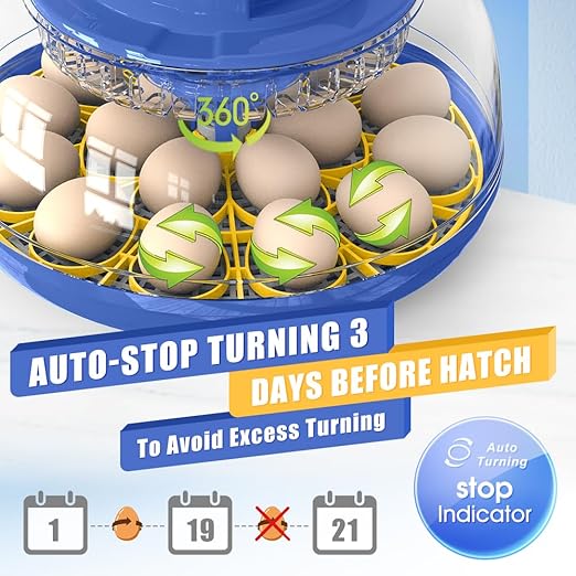 HOWOOlUA 18 Egg Incubator for Hatching Eggs with Auto Turn, Temp & Humidity Control, Built-in Candler Large Capacity Egg Incubator for Chicken Duck Goose Eggs (Blue)