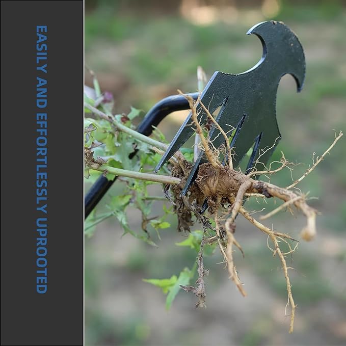Weed Puller Tool, New Weeding Artifact Uprooting Weeding Tool, 4 Teeths Hand Weed Removal Tool for Vegetable Gardening Backyard Farm Planting and Weeding- 2 PCS