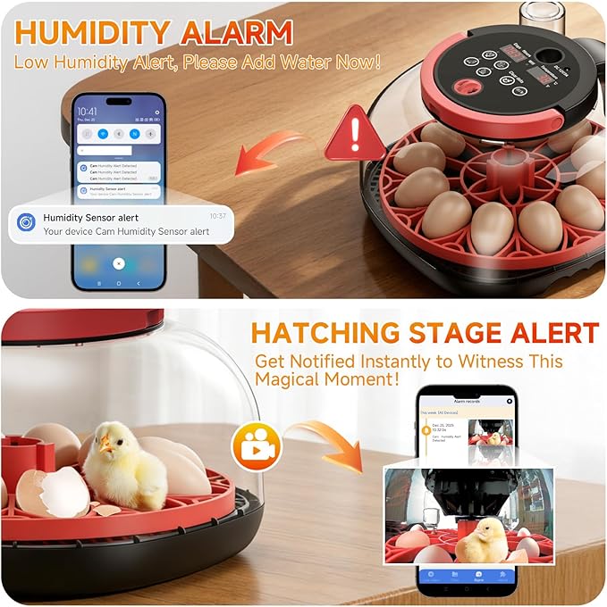 12 Egg Incubator with Camera, Humidity and Temperature Control, APP, Egg Candler, Automatic Egg Turner, 360° Clear View, Smart Incubators for Hatching Eggs, Chicken, Duck, Pigeon and Quail