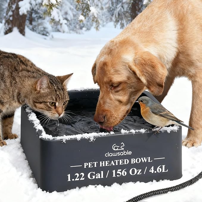 Clawsable Large Heated Dog Bowl for Outdoor Dogs Cats, Heated Water Pet Dish with 78.4" Chewproof Cord, Water Thermal-Bowl for Rabbit, Chicken, Squirrel (Gray, 155Oz)