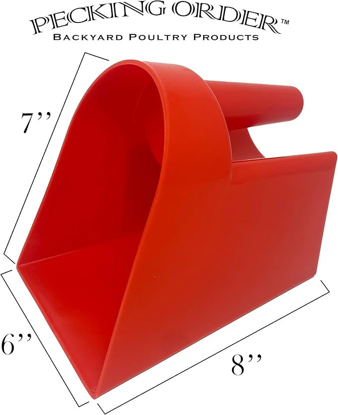 2 Quart Feed Scoop