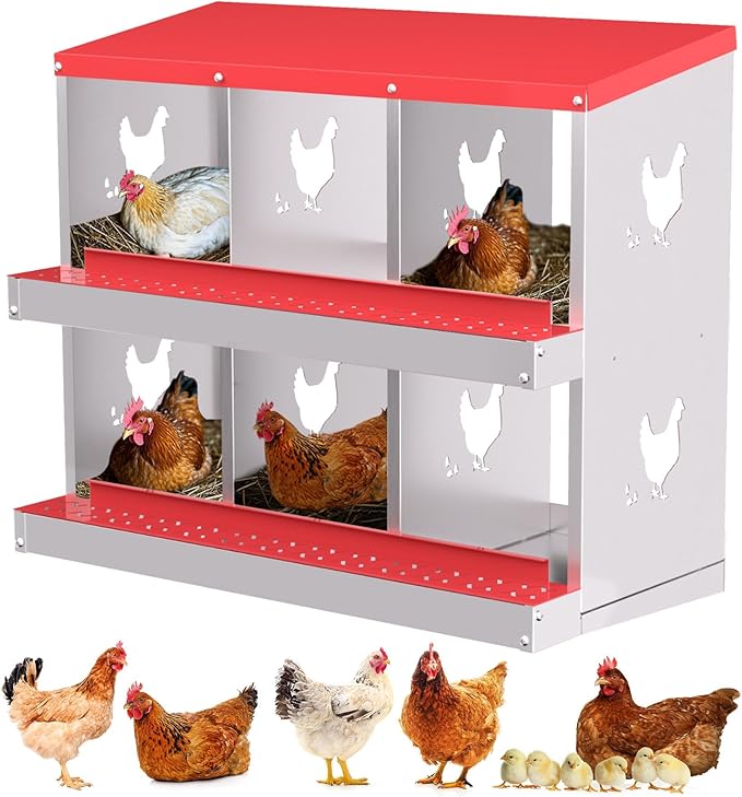 6-Compartment Metal Chicken Nesting Box - with Perch, Secure Lid & Metal Legs, Wall-Mount or Free-Standing Nesting Boxes for Hens