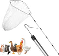 Chicken Net Catcher,74" Adjustable Extension Pole Chicken Hook Catcher Kit，The Animal Net Catcher Is Made Of Stainless Steel,Suitable For Catching Small Duck,Goose,Bird,Fish, Etc. （15.3 x 23.2" Net)