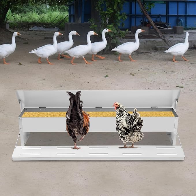 22lbs Automatic Chicken Feeder Automatic Galvanized Chicken Feeder with Weatherproof Lid Large Capacity Poultry Feeders Treadle for Chickens, Ducks, Geese
