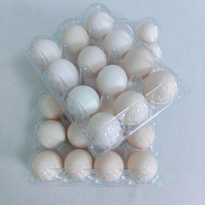100 packs Egg Cartons Cheap Bulk, 3 * 4 extra large Clear plastic egg cartons for Family, Farm, Markets, Display