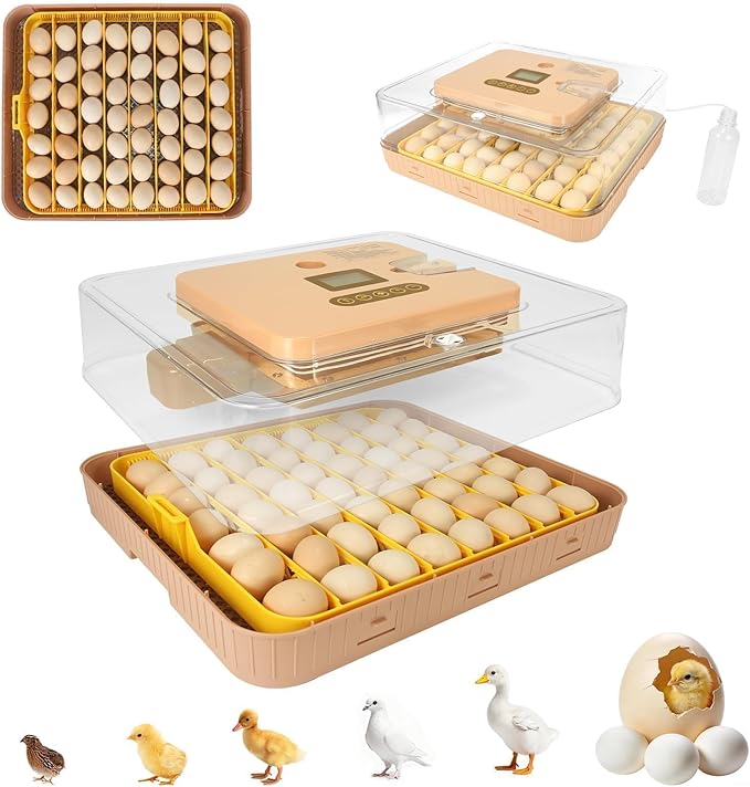 Automatic 56-Egg Incubator for Breeders, Sensor-Based Precise Humidity+Temp Control, Chick Separator, Adjustable Egg Spacing, Custom-Interval Auto Turn+Auto Stop,Preset Incubation Days