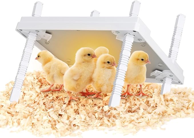 Chick Brooder Heating Plate, 12"x12" Chick Heat Plate with Adjustable Height & Angle, 30W Lower Energy Chick Heater Brooder Plate with Temperature & Time Control, Suitable for 20 Baby Chicks