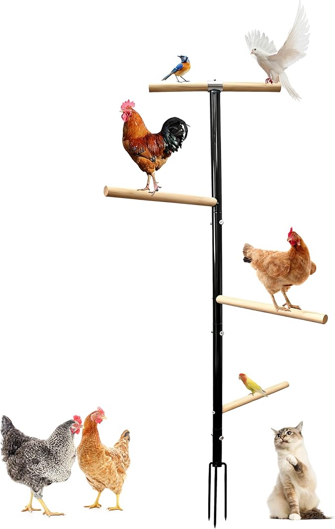 Large Chicken Perch Toys for Coop,Wooden Chicken Roosting Bars with 3 Legs Metal Ground Plug,1.25-Inch Thickened Steel Pipe, Improved and Upgraded Design of Wooden Pole Embedded in The Steel Pipe
