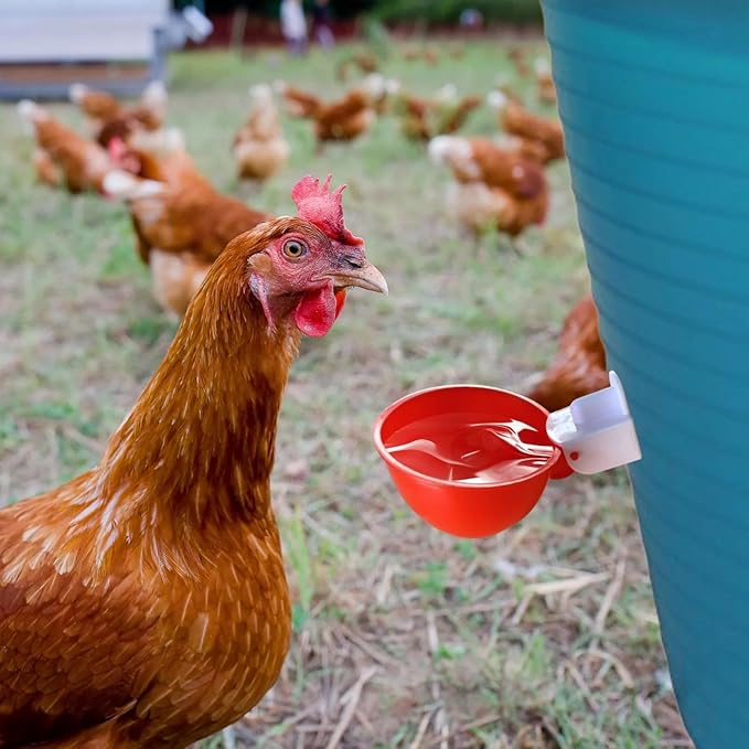 20 Pcs Chicken Waterer Cups, Duck Water Feeder Kit, Automatic Poultry Drinking Bowl with Drill, Includes Large Red Cups and Drill Bit, Ideal for Chickens and Ducks