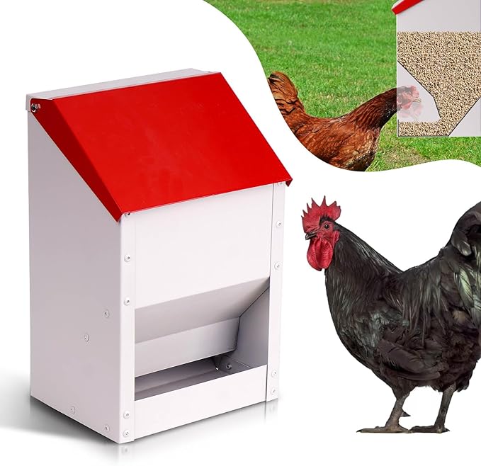 Automatic Metal Chicken Feeder Galvanized Poultry Feeder with Lid Outdoor Wall Mount Chicken Food Dispenser Gravity Fed Chicken Feeder Weatherproof No Waste Quail Duck Feeder (10LBS)