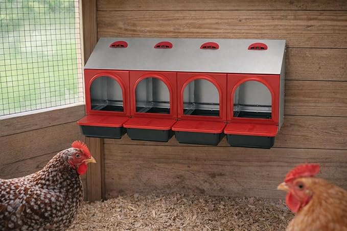 My Favorite Chicken Metal Rollout Nest Box – Roll Away Egg Laying Box for Chickens, Wall Mount Coop Nesting Box, Easy Clean Removable Buckets, Heavy-Duty Galvanized (Four Hole)