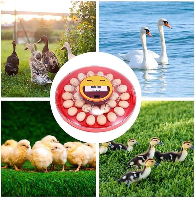 30 Egg Incubator Automatic Turning Digital Poultry Hatcher Brooder Temperature Control LED Screen For Chickens Ducks Goose Birds