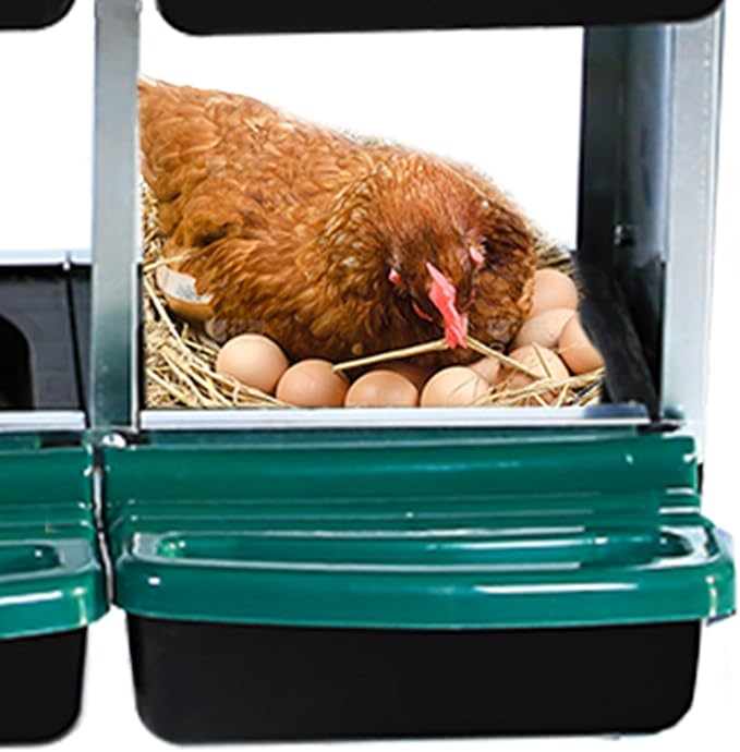 6 Compartments Metal Chicken Nesting Boxes, Roll Away Eggs Laying Boxes with Egg Tray, Removable Dropping Board & Lockable Lid, Easy Clean Hen Laying Box for Poultry Coop and Farm Use
