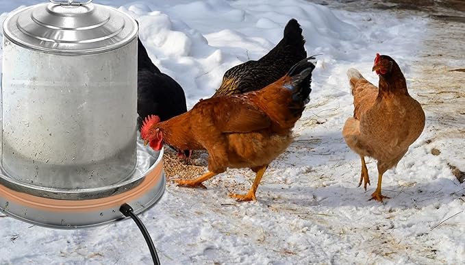 Poultry Chicken Water Heater: Chicken Water Heater Base for Winter, for Plastic/Metal Poultry Watere 11inch, Heated Waterer for Chickens 125W 2 Pack