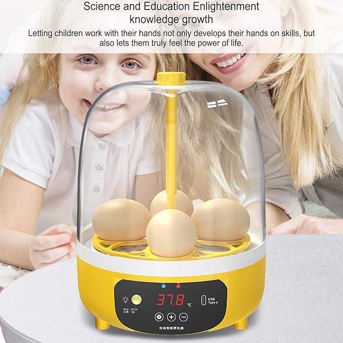 4 Eggs Incubator, Automatic Temperature and Humidity Control Eggs Hatching Incubator, Visual Low Noise Energy Saving USB Mini Poultry Hatcher for Eggs, Pigeon Eggs, Quail Eggs